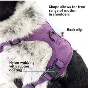 Medium bark box harness, collar and leash